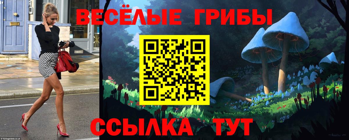 Псилоцибиновые грибы GOLDEN TEACHER  Псилоцибиновые грибы ЛСД  Александров  Вход с VPN 