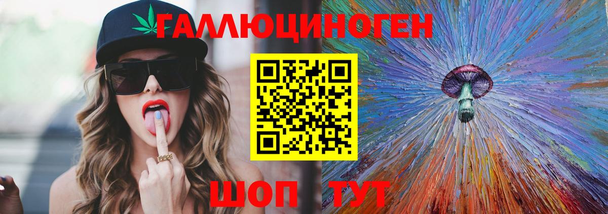 Галлюциногенные грибы Psilocybe Александров