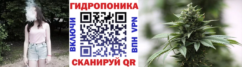 купить  сайты  Александров  Марихуана VHQ 